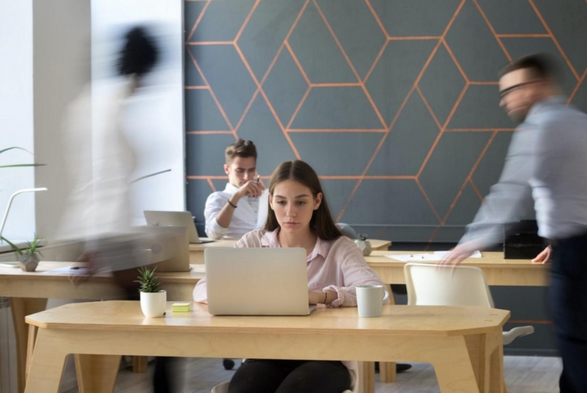 Delfin Natura-co-working-space-Costa Blanca
