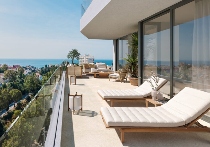 Belvedere Collection