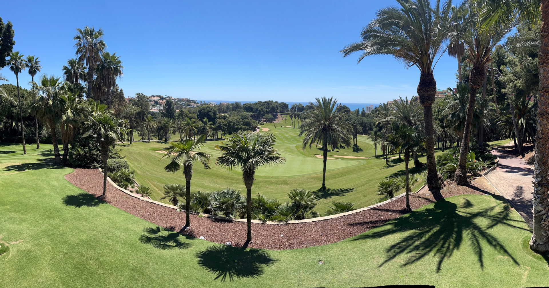 Abelias - Golfcourse
