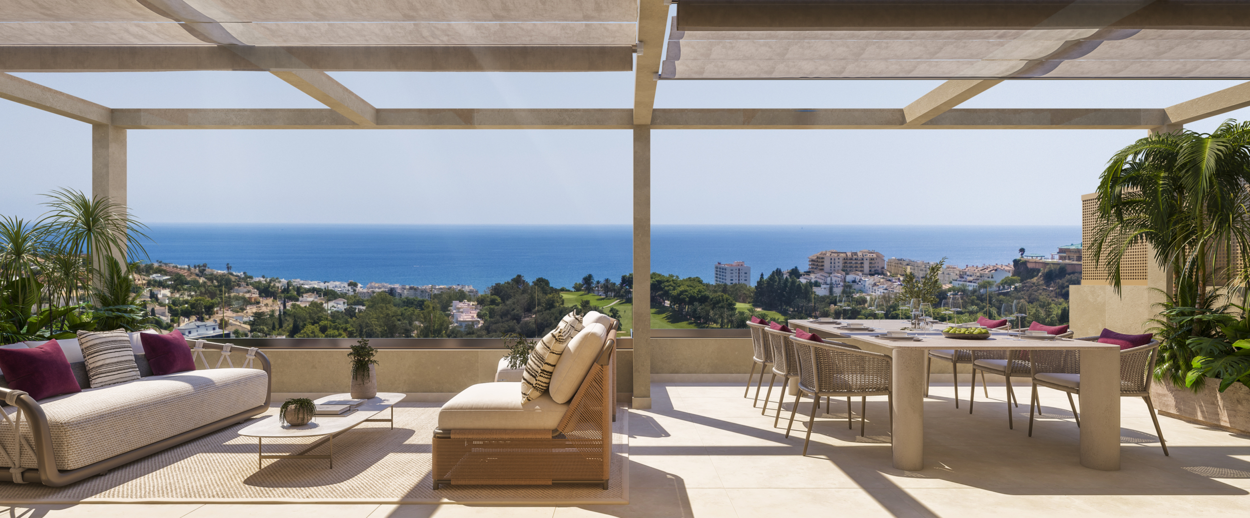 Abelias - Terrace