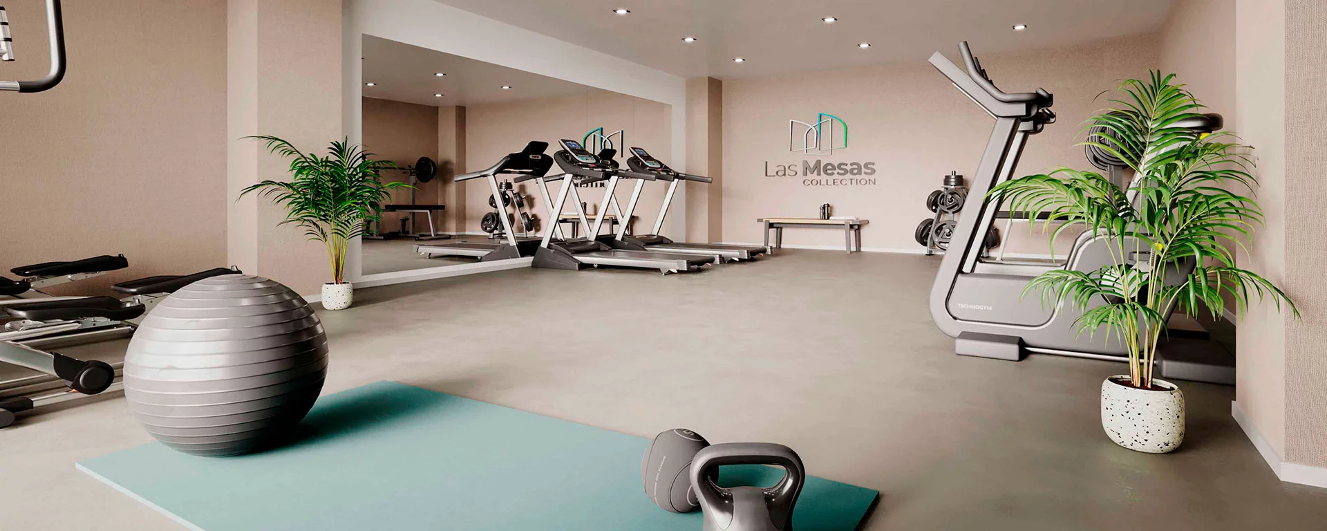 Las Mesas Collection - Gym