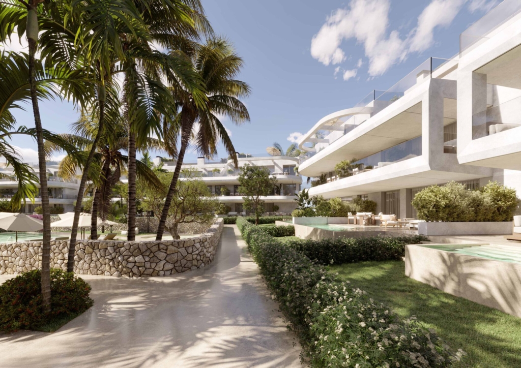The Palms