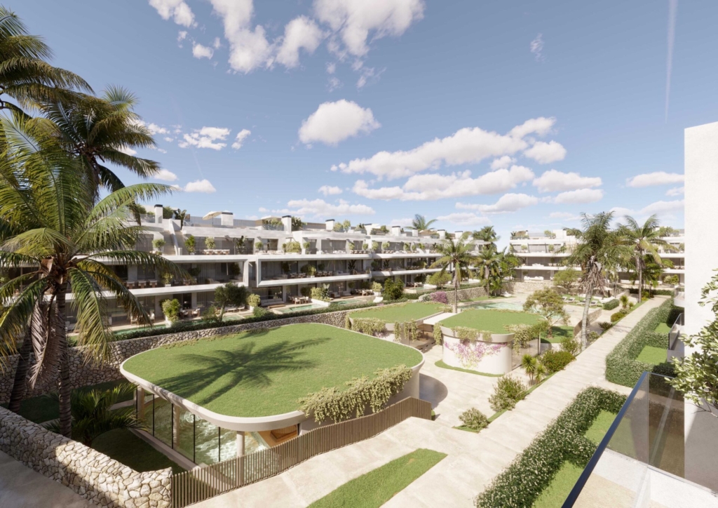 The Palms