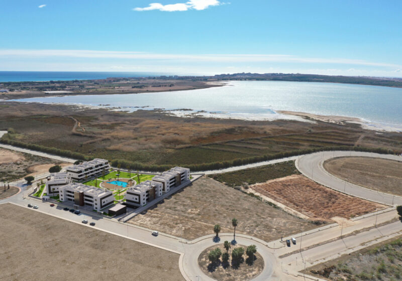 Oasis Laguna 3