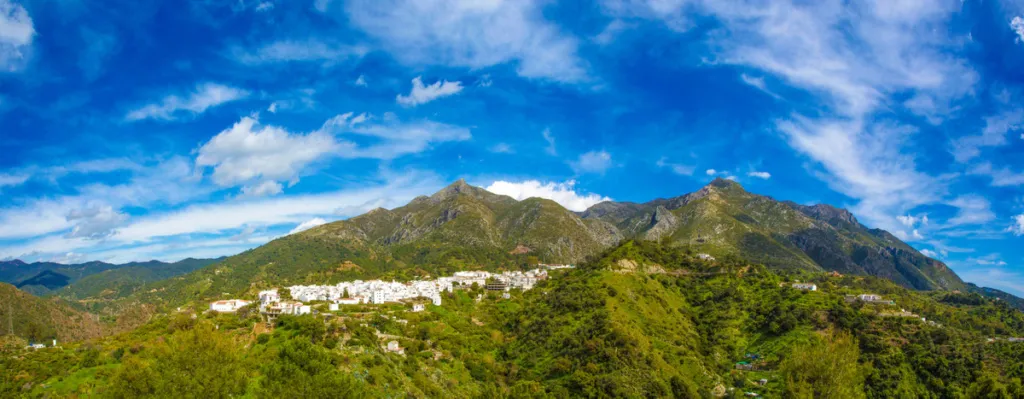 ALMAZARA GARDENS