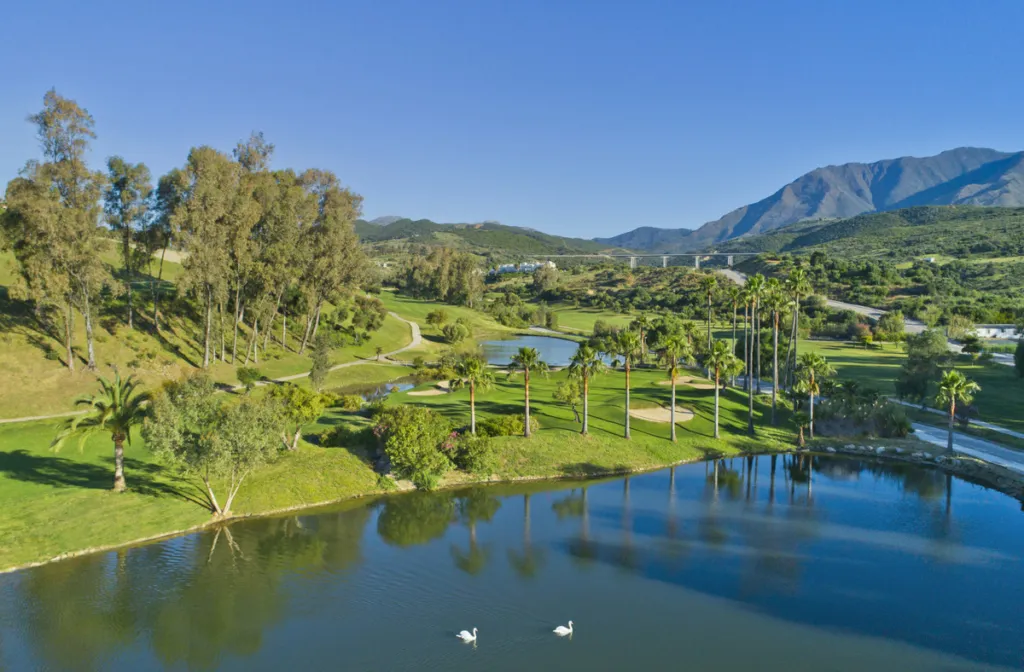 SUNNY GOLF