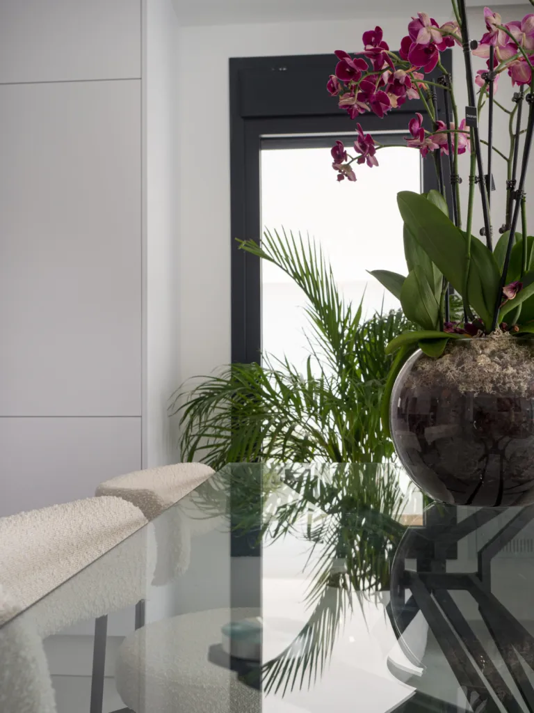 Mediterranea Luxury Homes
