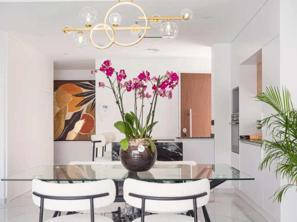 Mediterranea Luxury Homes